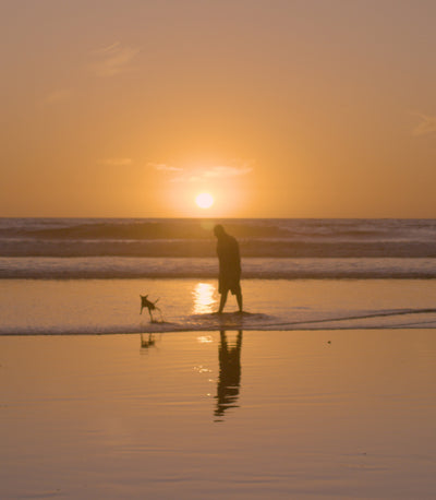 Man walking on the beach at sunset with a dog