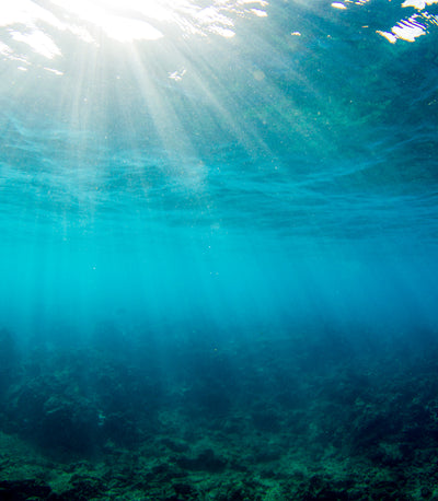 Sunlight beams through clear ocean water above a coral reef  – Sun Bum.