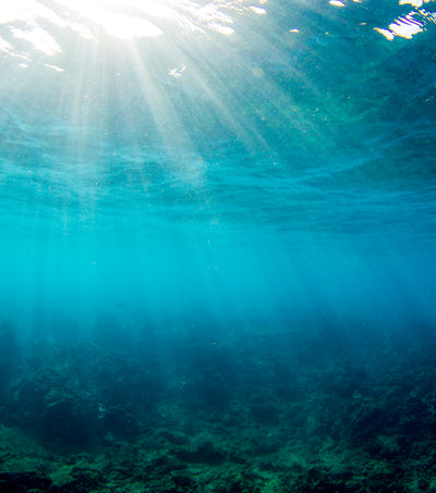 Sunlight beams through crystal clear ocean water – Hawaii Act Collection - Sun Bum.